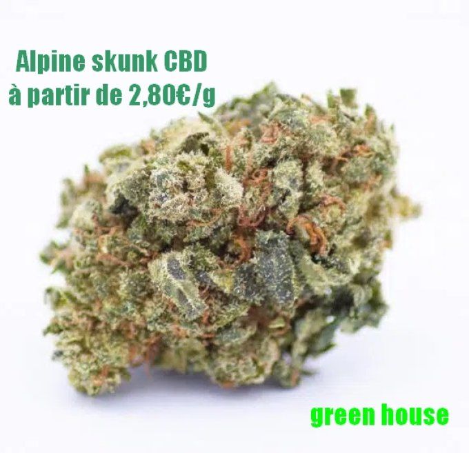 Alpine Skunk CBD 2,80€/gramme