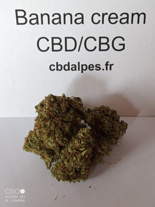 Banana cream CBD/CBG 3.60€/gramme