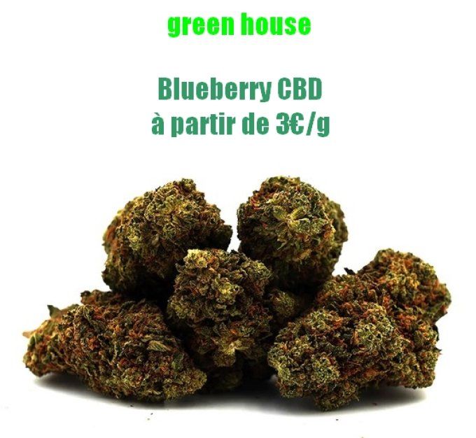 Blueberry CBD 3€/gramme