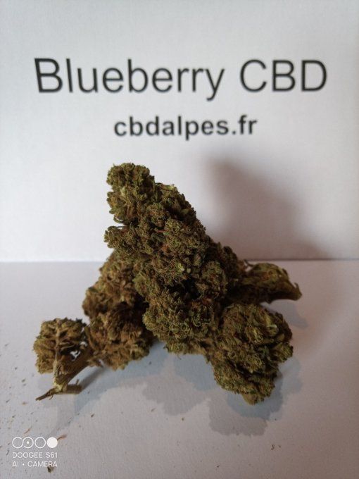Blueberry CBD 3€/gramme