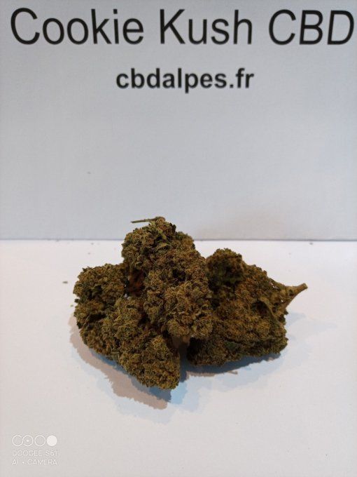 Cookie Kush CBD 5,50€/gramme