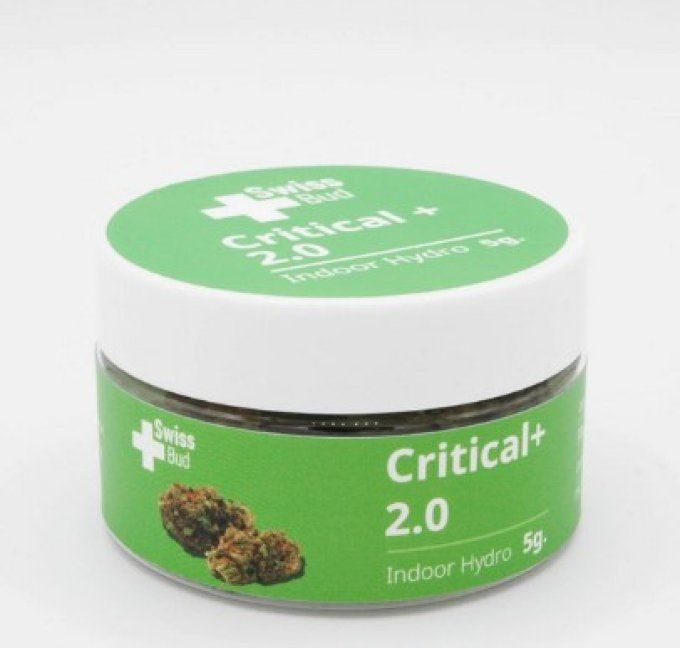 Critical+ 2.0 Swiss Bud 25€/5g