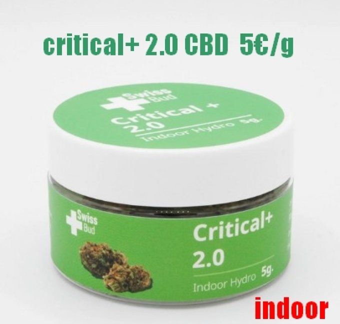 Critical+ 2.0 Swiss Bud 25€/5g