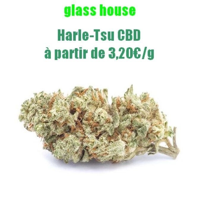 Harle-Tsu CBD 3,20€/gramme