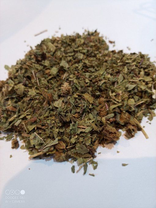 La Marocaine 10%, infusion (50g de : Verveine citronnée, menthe, 10%chanvre cbd)