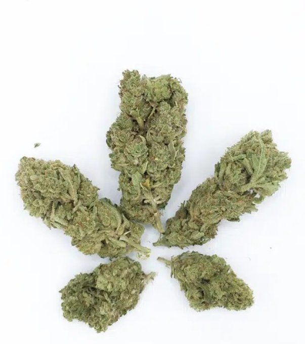 Mango Kush CBD 5,50€/Gramme