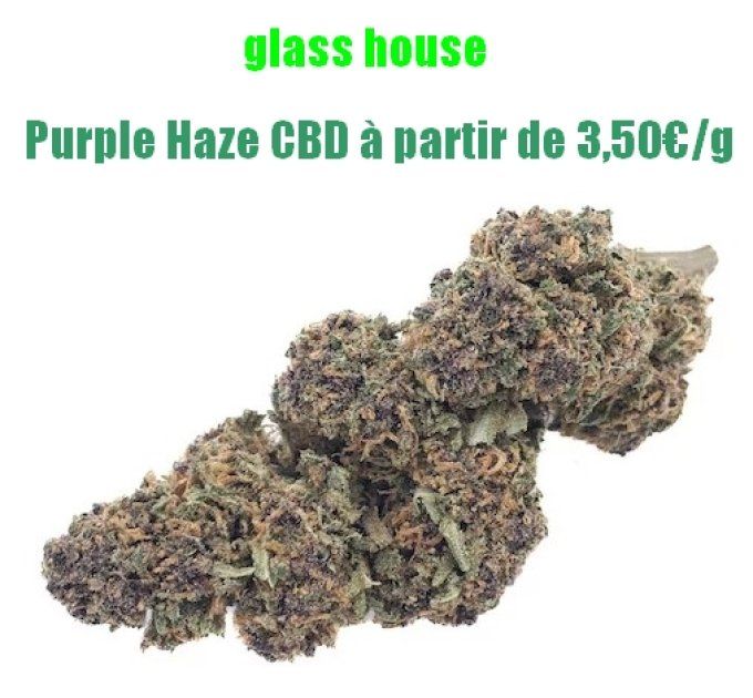 Purple Haze CBD 3,50€/gramme