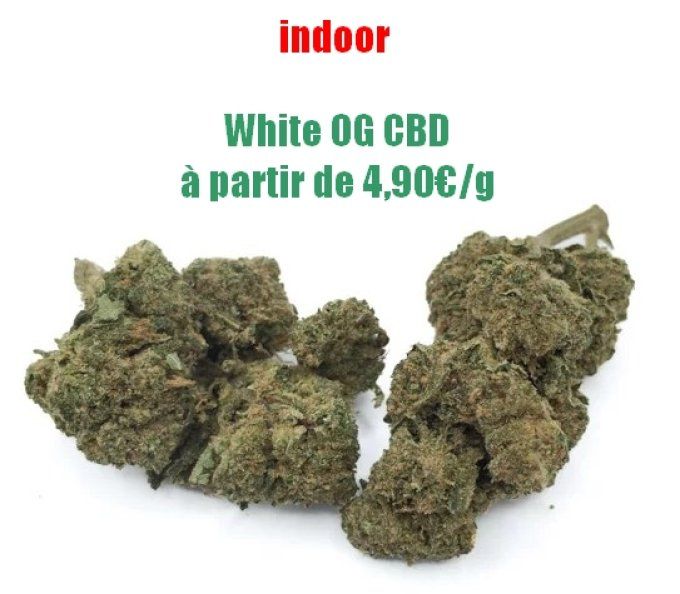White OG CBD 4,90€/gramme